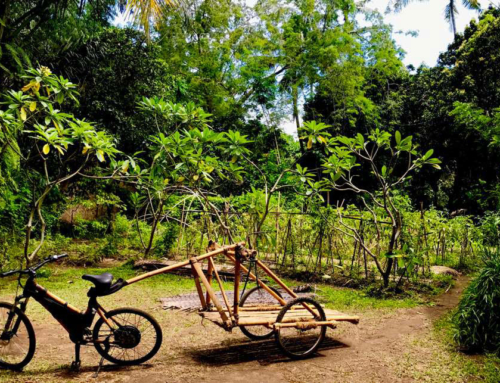 EWABI and Green School